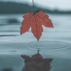 国产校园做受❌❌❌入口
